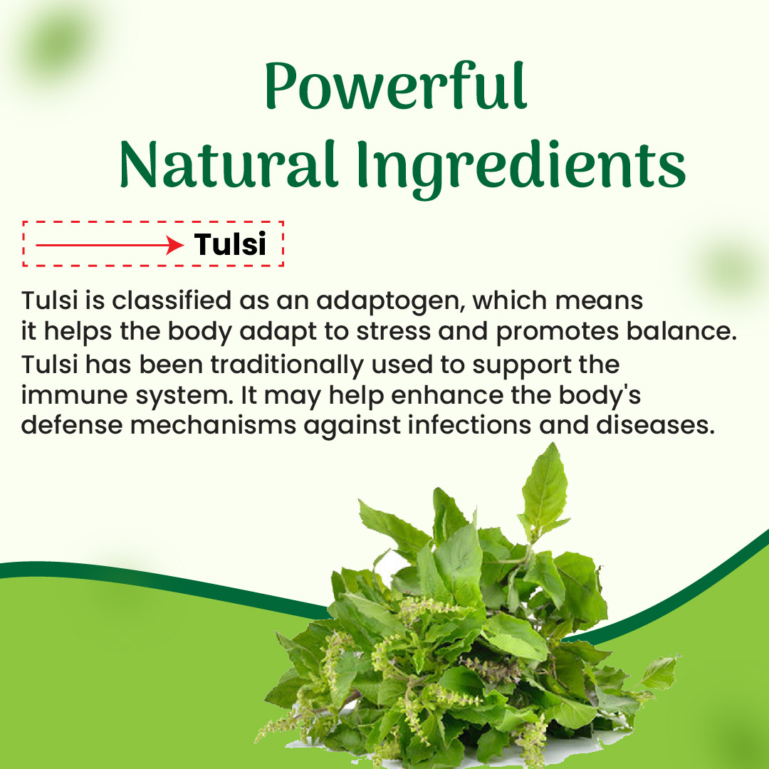 tulsi 60 capsule 04