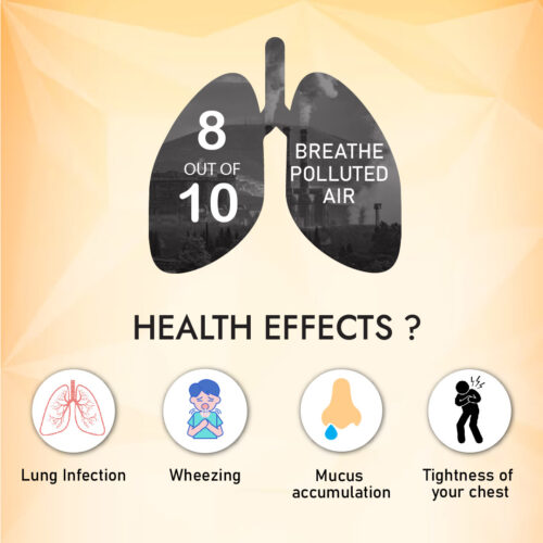 Respicure Syrup For Lung Detox 500 ML - Image 6