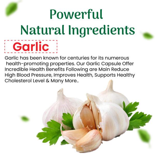 Garlic SoftGel Capsule 30's - Image 4