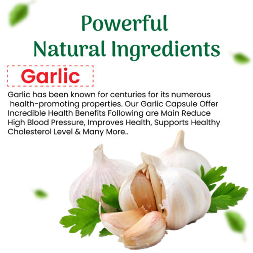 Garlic SoftGel Capsule 60's - Image 4