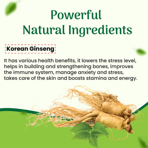 Korean Ginseng Capsule 30's - Image 4