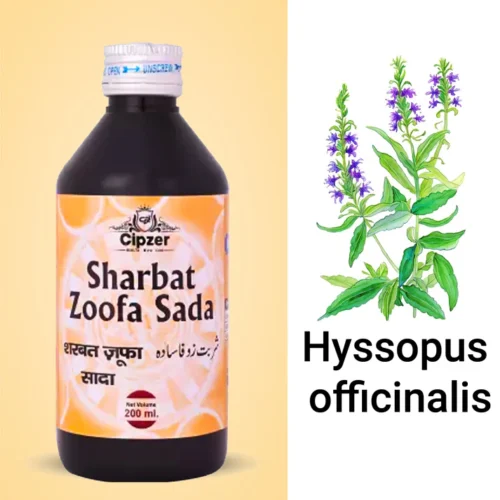 Sharbat Zoofa Sada 200 ML - Image 4