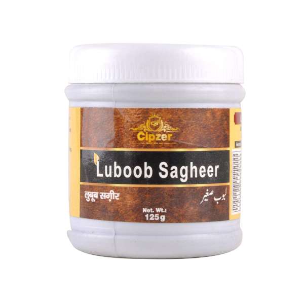 LUBOOB SAGHEER