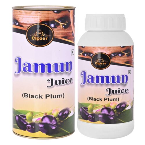 Jamun Juice - Image 4