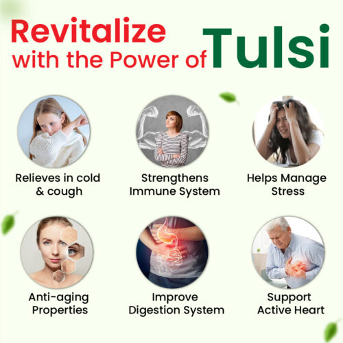 Tulsi Capsule 30's - Image 3