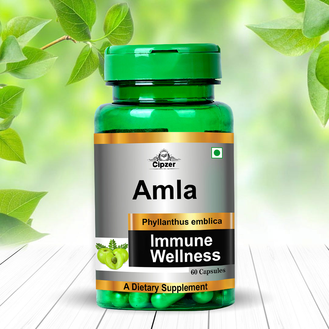 amla capsule 60 01