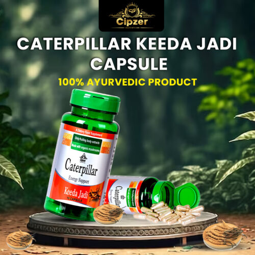 Caterpillar Keeda Jadi Energy Support Capsule 10's - Image 3