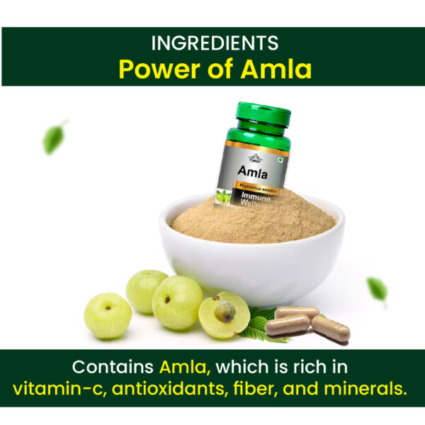 Amla Capsule 60's - Image 3