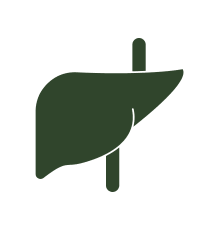 Liver & Gut Health